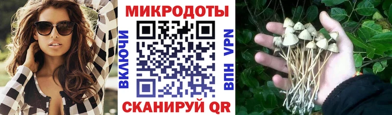 Псилоцибиновые грибы GOLDEN TEACHER  Слюдянка 