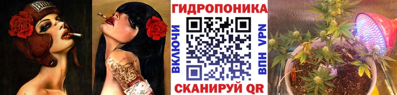 Конопля семена закладки кракен tor Слюдянка